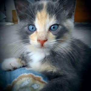 Meet your Posher, Leigh